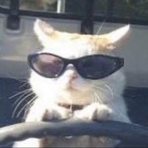 Meet your Posher, Areli